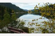 Urlaub Grän-Haldensee Ferienwohnung 72006 privat