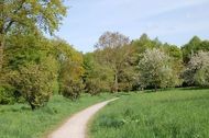 Urlaub Westerstede Ferienwohnung 73289 privat