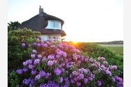 Urlaub Kampen/Sylt Ferienhaus 73485 privat