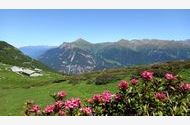 Urlaub Pfunds Ferienwohnung 73725 privat