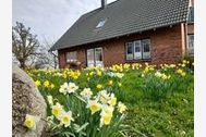 Urlaub Ferienwohnung Ferienwohnung Mangelsen