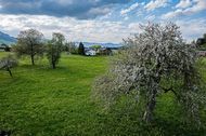Urlaub Lingenau Ferienwohnung 74862 privat