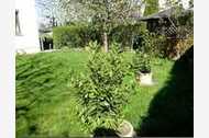 Urlaub Tannheim Ferienwohnung 76327 privat