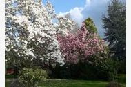 Urlaub Steinberg Ferienhaus 76760 privat