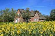 Urlaub Gelting Ferienhaus 78261 privat