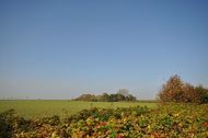 Urlaub Ferienwohnung Nr. 27 - Ferienwohnung Am Yachthafen