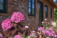 Urlaub Ferienhaus Buurnstrat 72a - Haus Föhrliebe