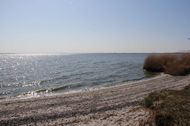 Urlaub Wustrow (Ostseebad) Ferienwohnung 81571 privat