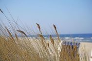 Urlaub Ferienwohnung Remise im Kaisers vis à vis