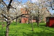 Urlaub Ferienwohnung Knubberhaus - Das Ferienhaus im Kirschenhain