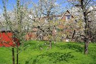 Urlaub Ferienwohnung Knubberhaus - Das Ferienhaus im Kirschenhain