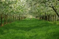 Urlaub Jork Ferienwohnung 83127 privat