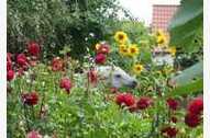 Urlaub Walkendorf Ferienwohnung 83992 privat