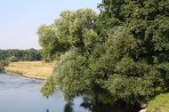 Urlaub Dessau-Roßlau Ferienhaus 85716 privat