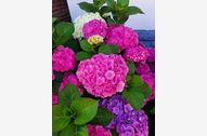Urlaub Priepert Ferienwohnung 89539 privat