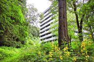 Urlaub Bad Harzburg Ferienwohnung 90140 privat