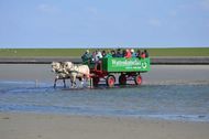 Urlaub Nordstrand Ferienwohnung 90582 privat