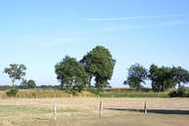 Urlaub Dunum Ferienwohnung 93991 privat