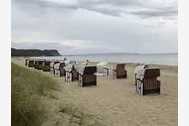 Urlaub Ferienhaus Ostsee Strandhaus Seerobbe