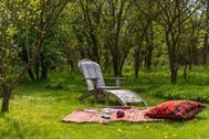 Urlaub Ahlbeck bei Ueckermünde Ferienhaus 97539 privat