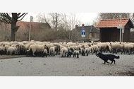  Unterkunft Objektbild