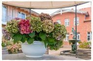 Zimmer ansehen