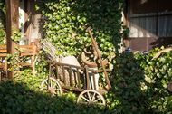 Zimmer ansehen
