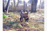 Zimmer ansehen