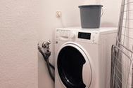 Zimmer ansehen