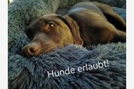 Zimmer ansehen