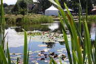 Urlaub Kirch Jesar Ferienwohnung 85403 privat