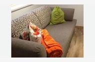 Zimmer ansehen